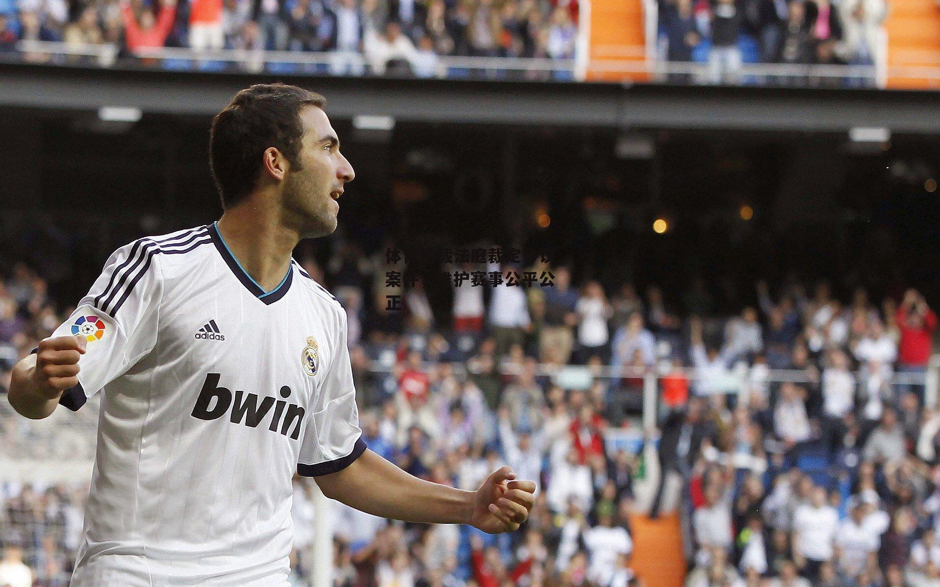 体育仲裁法庭裁定争议案件,维护赛事公平公正